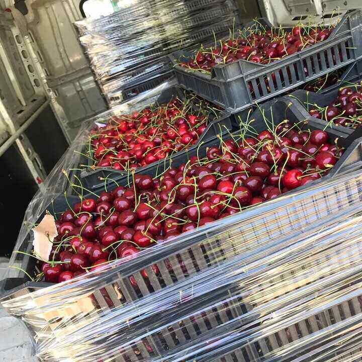 Gajbe sa višnjama u kombiju za prevoz robe